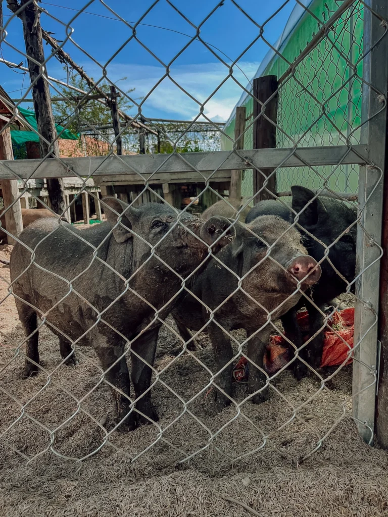 HILFE ZUR SELBSTHILFE